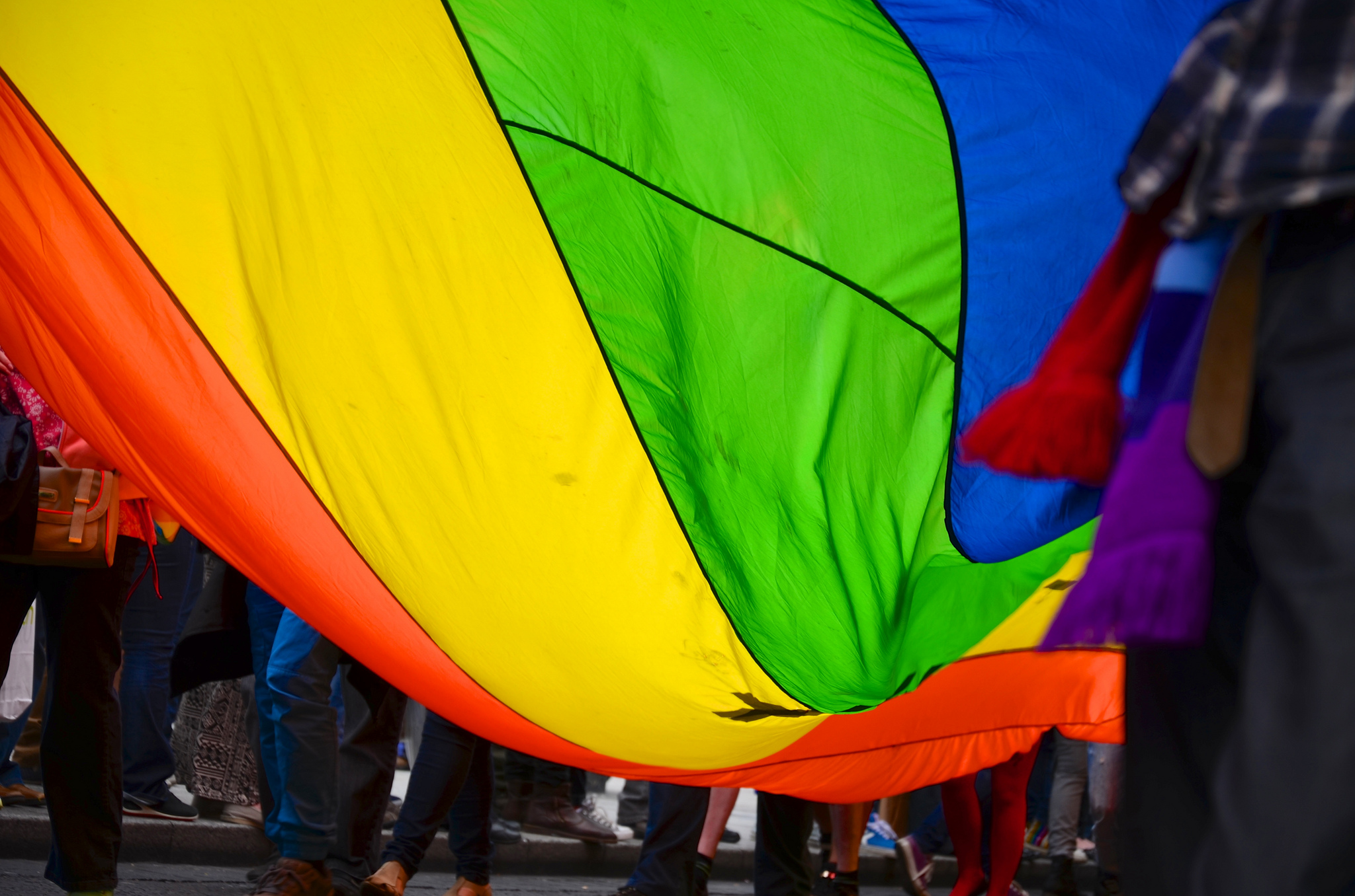 Queerness and the Gay-Friendly Right Wing in Europe